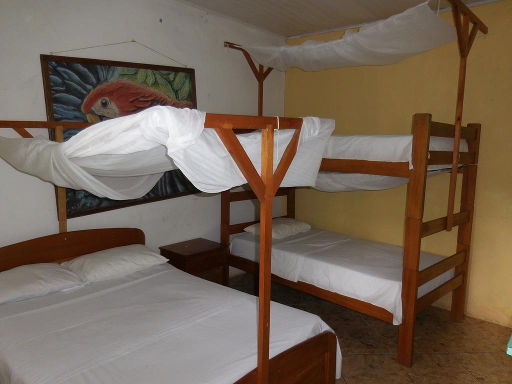 Tambopata Hostel Puerto Maldonado Buitenkant foto